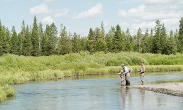 Under Canvas Yellowstone