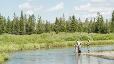 Under Canvas Yellowstone
