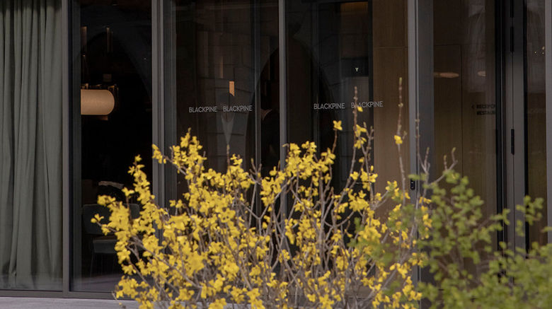 <b>The Blackpine Exterior</b>. Images powered by <a href="https://www.leonardoworldwide.com/" title="Leonardo Worldwide" target="_blank">Leonardo</a>.
