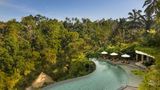Cicada Resort Bali Ubud, Autograph Pool
