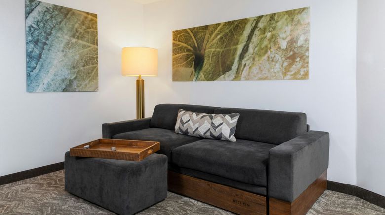 <b>SpringHill Suites by Marriott Suite</b>. Images powered by <a href="https://www.leonardoworldwide.com/" title="Leonardo Worldwide" target="_blank">Leonardo</a>.