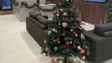 Wellington Apartments Lobby