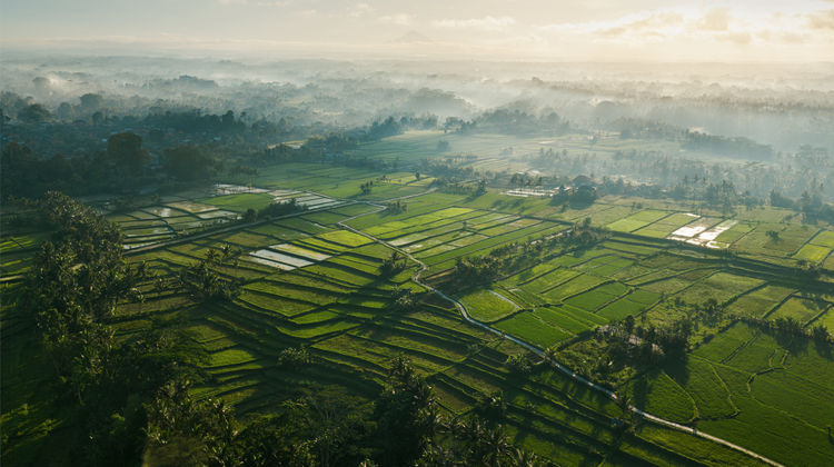 COMO Shambhala Estate Other