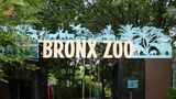 Holiday Inn Exp Suites Bronx NYC Other