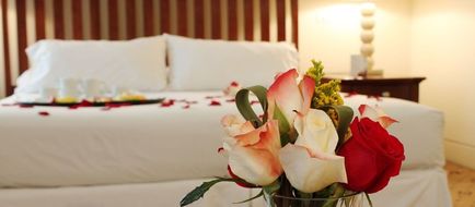 Hotel Torremayor Lyon Room