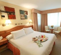 Hotel Torremayor Lyon Room