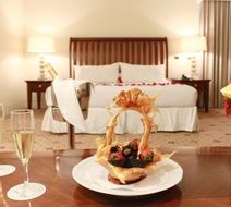 Hotel Torremayor Lyon Room