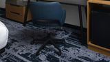 <b>Fairfield Inn & Suites Muskegon Room</b>. Images powered by <a href="https://www.leonardoworldwide.com/" title="Leonardo Worldwide" target="_blank">Leonardo</a>.