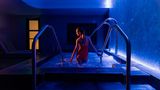 Hotel Ivy, a Luxury Collection Hotel Pool