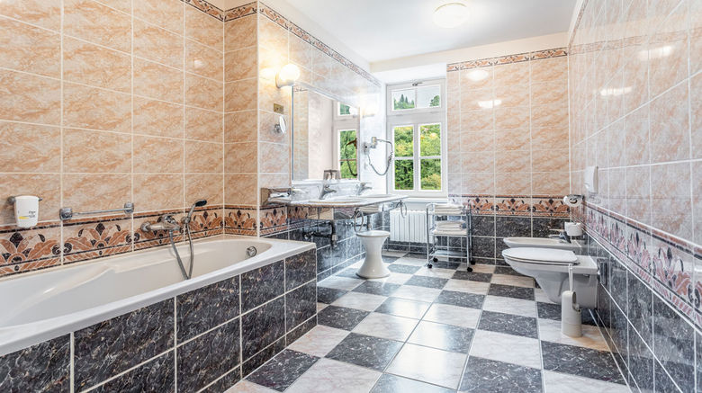 <b>Radium Palace Lazne Jachymov Room</b>. Images powered by <a href="https://www.leonardoworldwide.com/" title="Leonardo Worldwide" target="_blank">Leonardo</a>.