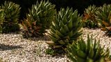 Delta Hotels Olbia Sardinia Other