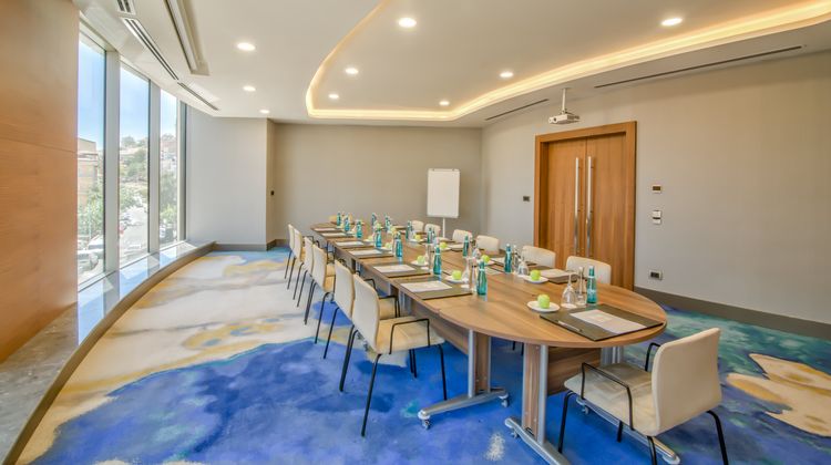 Crowne Plaza Cappadocia-Nevsehir Meeting