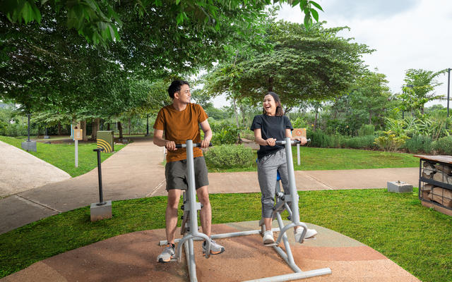 Outdoor Gym