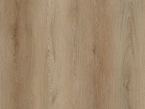 Trinity Oak Premium 8mm SPC Click