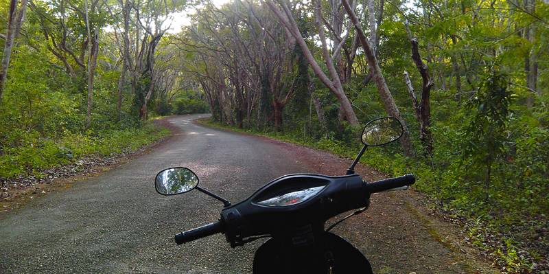 SIQUIJOR