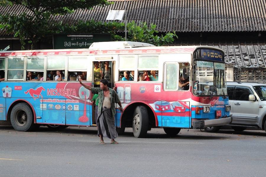 bus