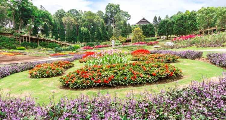 Flower garden