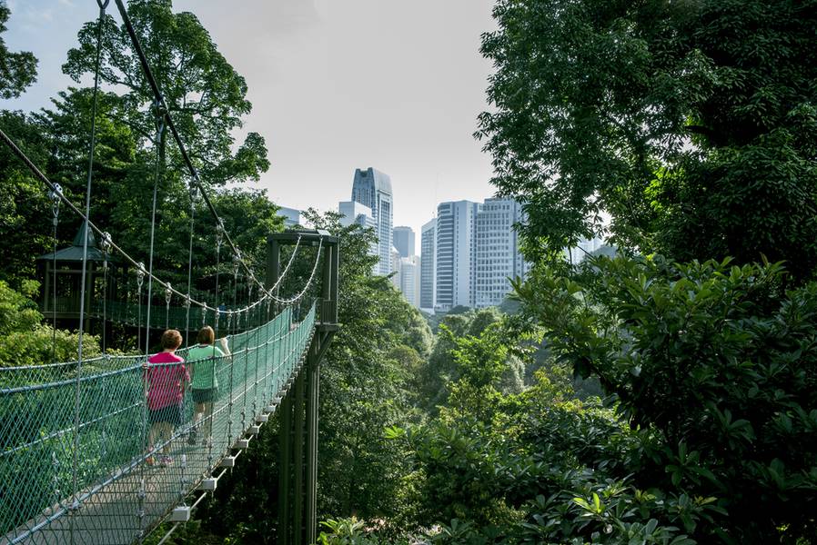 KL Forest Eco Park