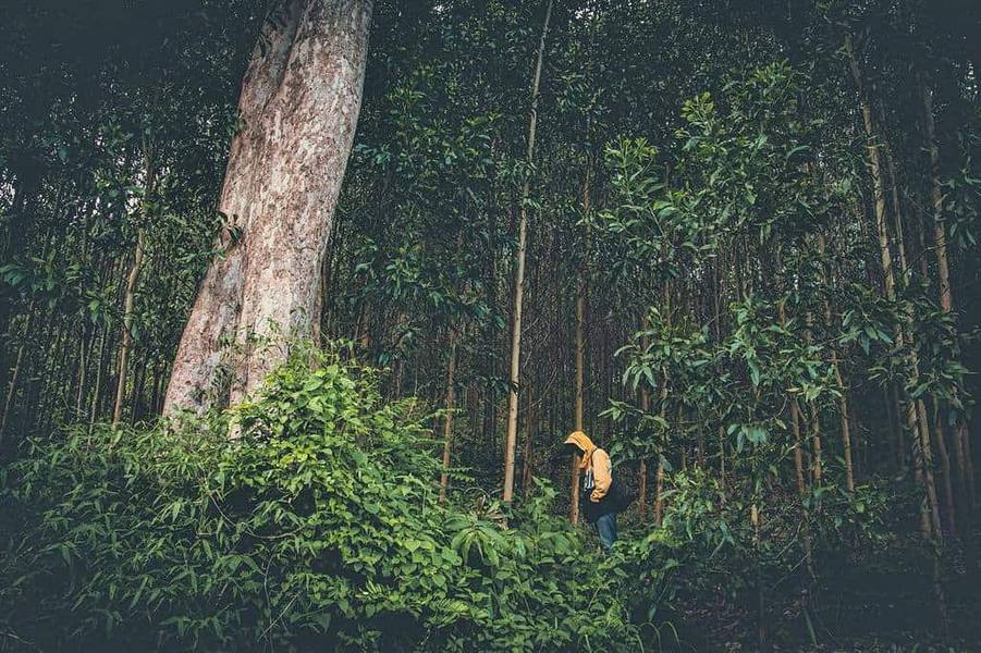 Cách Nha Trang 2 giờ chạy xe chính là “Đà Lạt của Khánh Hòa” đẹp hơn cả bản chính