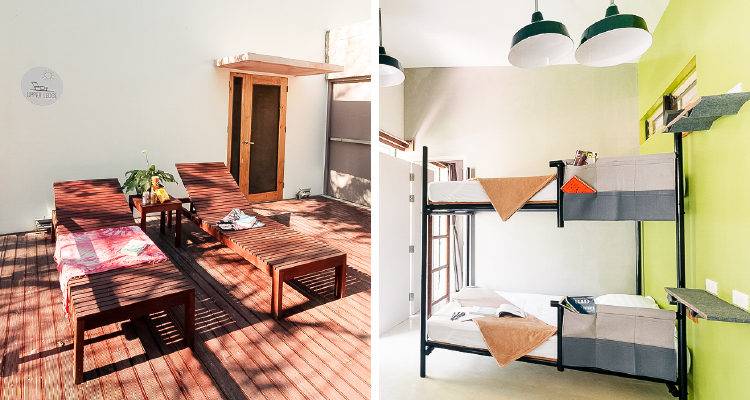 the rooms: mixed dorms