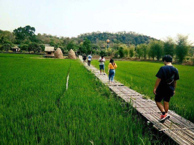 ที่เที่ยวใกล้กรุงเทพที่ทั้งสวยและได้ความรู้นอกห้องเรียน ต้องที่นี่เลย ภูกระเหรี่ยง 