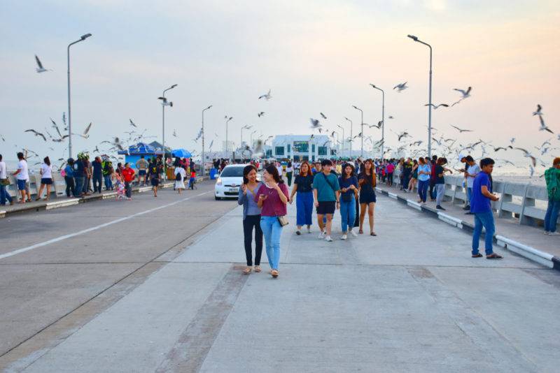 ที่เที่ยวใกล้กรุงเทพนี้เดินทางง่ายมาก ๆ อย่าง สถานตากอากาศบางปู เต็มไปด้วยนก ที่พร้อมใจให้นักท่องเที่ยวได้ให้อาหารกันอย่างใกล้ชิด
