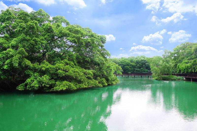 บางกระเจ้า ที่เที่ยวไม่ไกลกรุงเทพยอดฮิต เที่ยวเช้าเย็นกลับได้ แนว One Day Trip เก๋ ๆ