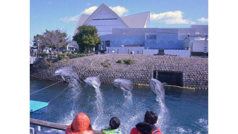 Kagoshima City Aquarium