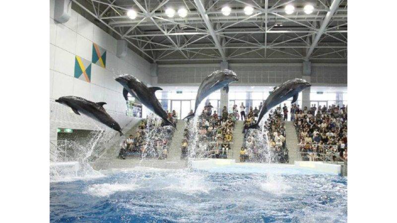 Kagoshima City Aquarium