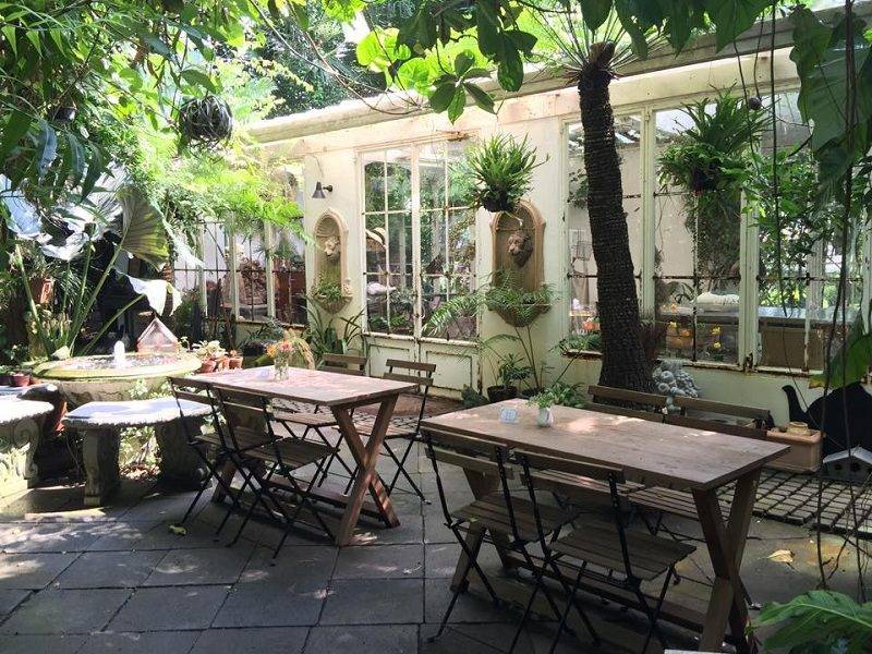 ร้านกาแฟชื่อดังในนครปฐมที่ร้าน Little Tree Garden ร้านกาแฟและเบเกอรี่ในสวนขนาดใหญ่ที่มีต้นไม้อยู่เป็นจำนวนมาก