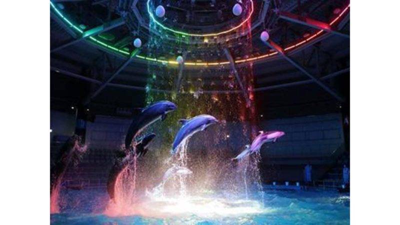 Maxell Aqua Park
