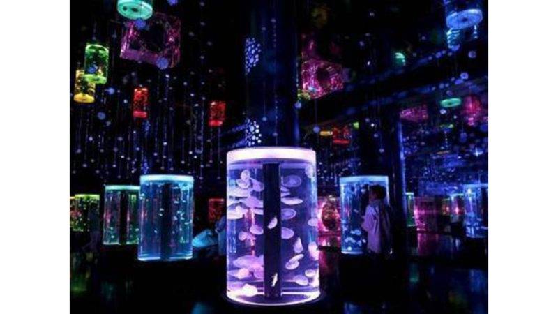 Maxell Aqua Park
