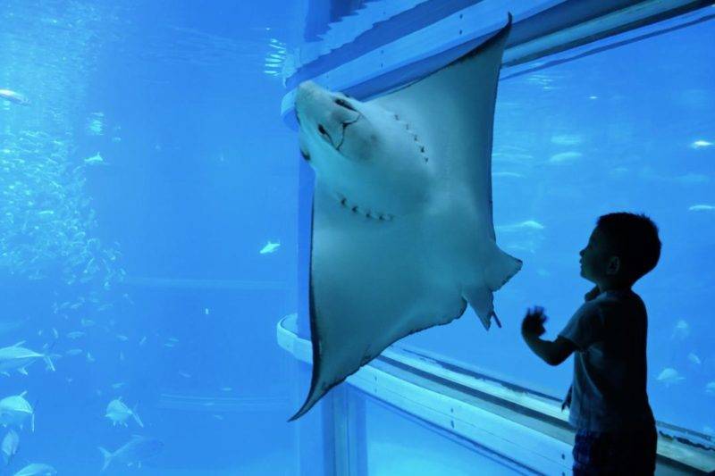 ticket to the Kaiyukan Aquarium in Osaka.