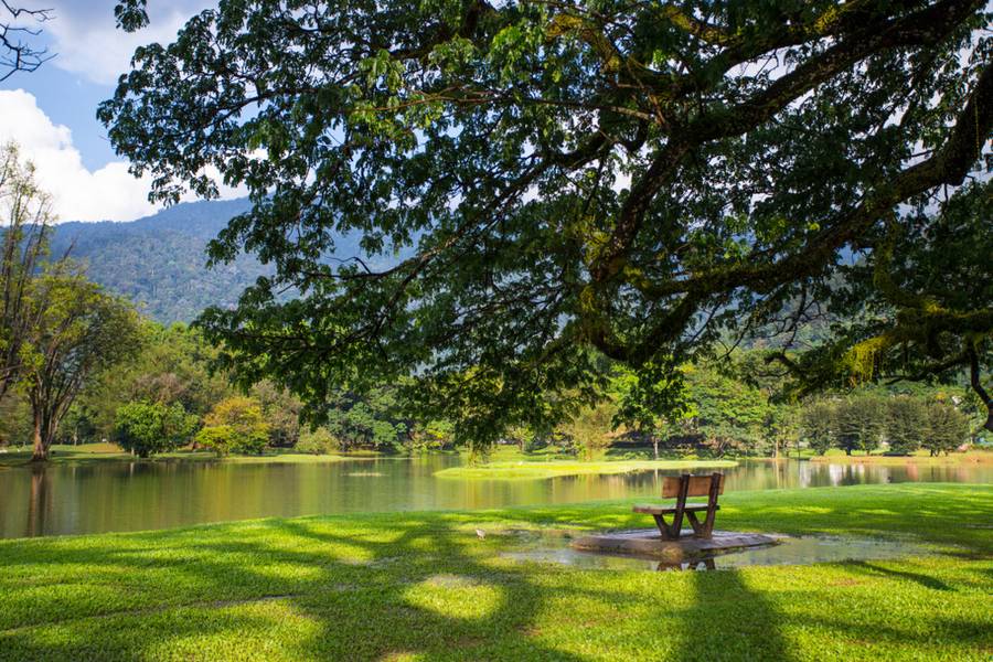 Taiping Lake Gardens
