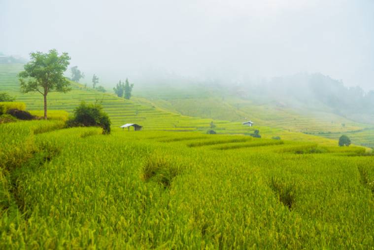 ที่เที่ยวดอยอินทนนท์ที่ตั้งอยู่บริเวณกิโลเมตรที่ 26 ของทางหลวงหมายเลข 1009 เส้นทางจอมทอง - อุทยานแห่งชาติดอยอินทนนท์ 
