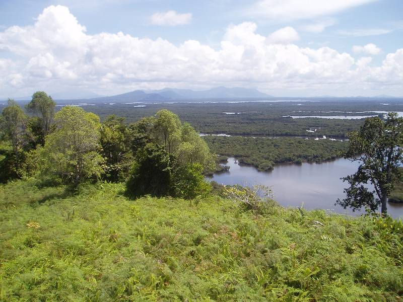 Danau Sentarum - Danau Terbesar di Indonesia
