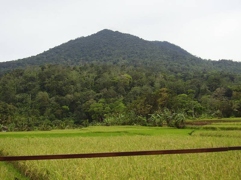 Gunung Pulosari - Gunung untuk Pendaki Pemula