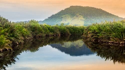 Taman Nasional Tanjung Puting