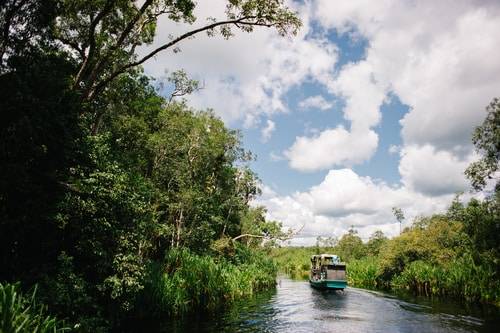Taman Nasional Tanjung Puting