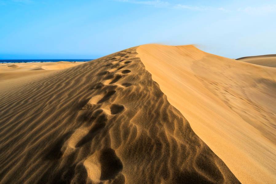 beautiful minimal desert