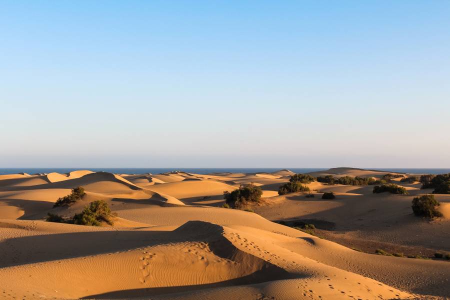 desert landscape