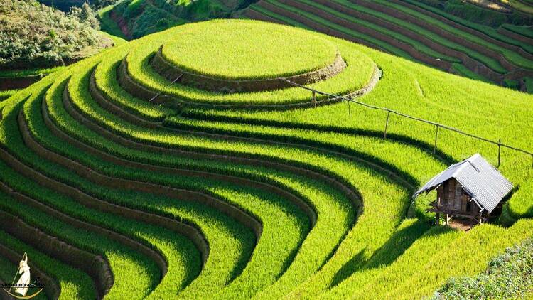 Ruộng bậc thang tại Lào Cai 
