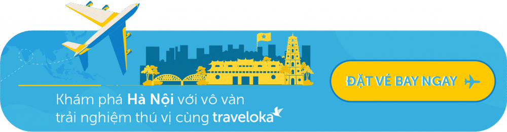 vé máy bay đi hà nội