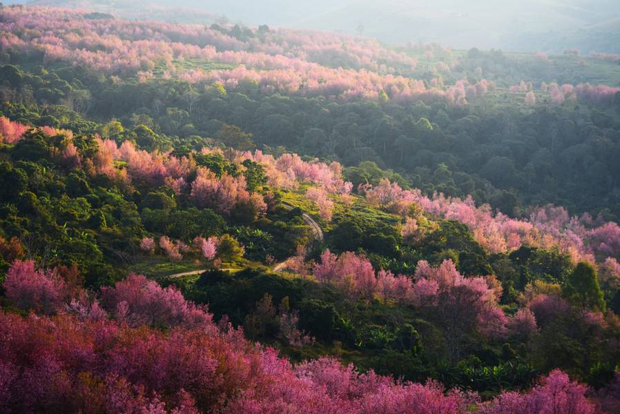 ภูลมโล - ที่เที่ยวจังหวัดเลยเลย