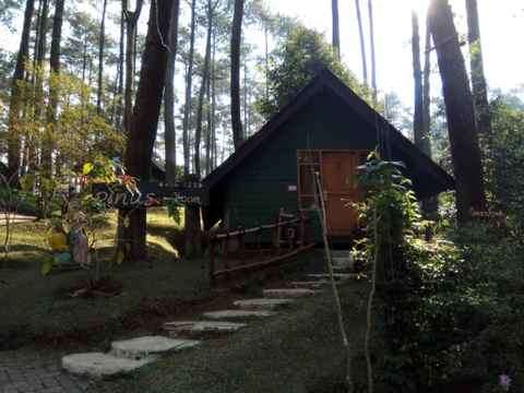 Glamping Murah di Bandung - Grafika Cikole