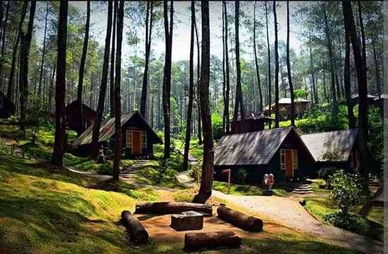 Glamping Murah di Bandung - Grafika Cikole