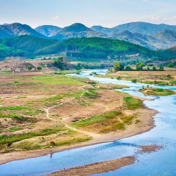 Động thực vật tại Chư Yang Sin