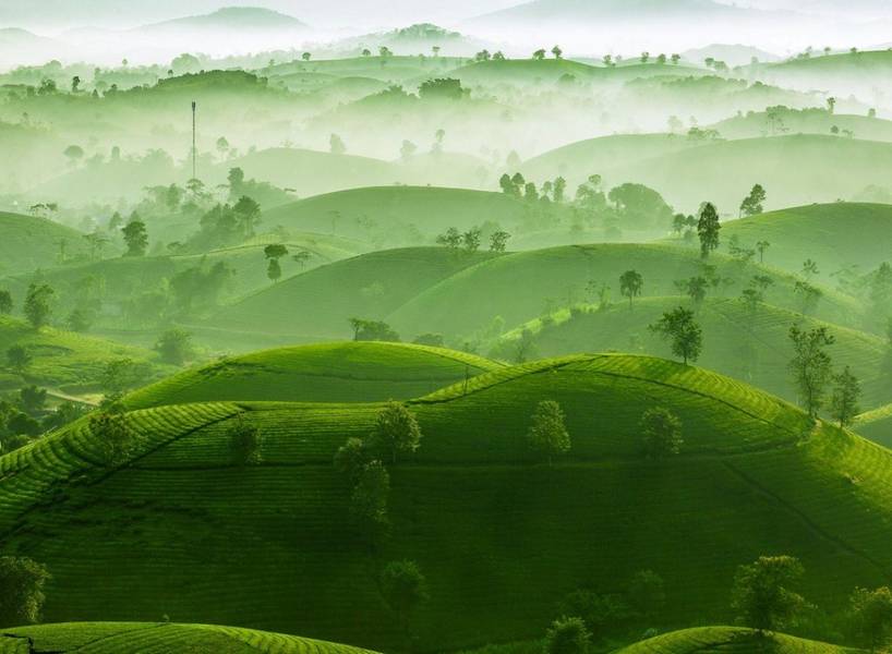 Vùng đất Phú Thọ linh thiêng