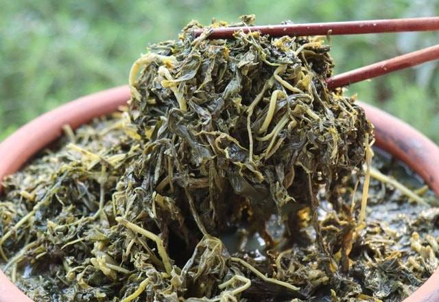 Rau sắn Phú Thọ