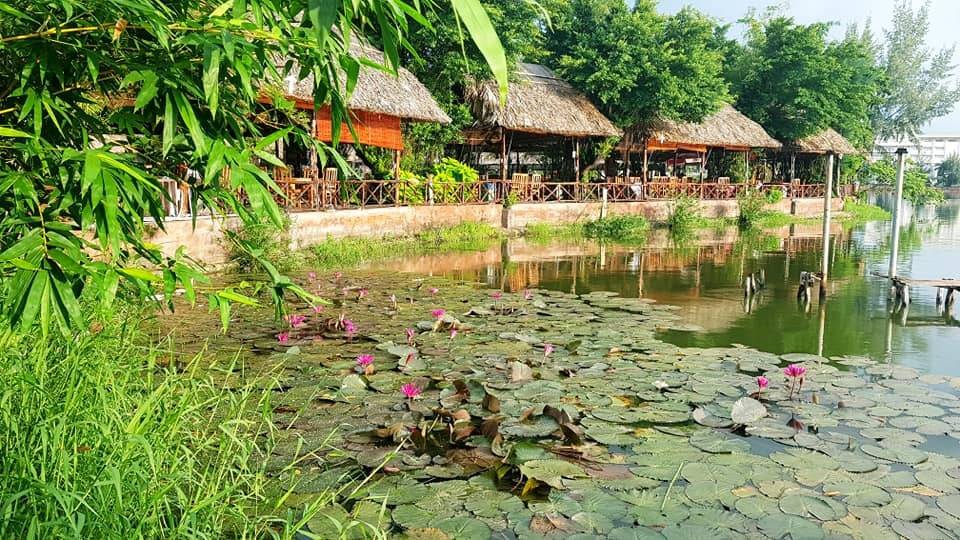 Một góc nhìn từ Hồ Nam Bạc Liêu